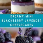 Mini Blackberry Lavender Cheesecakes Recipe