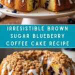 Brown Sugar Blueberry Coffee Cake Recipe