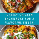 Homemade Easy Chicken Enchiladas with Cheesy Sauce Recipe