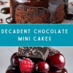 Chocolate Mini Cakes Recipe