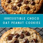 Choco Oat Peanut Cookies Recipe