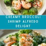Broccoli Shrimp Alfredo Recipe