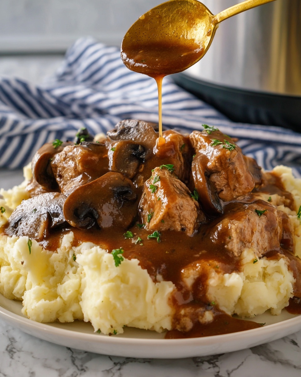 Slow Cooker Salisbury Meatballs Recipe - Recipe Image