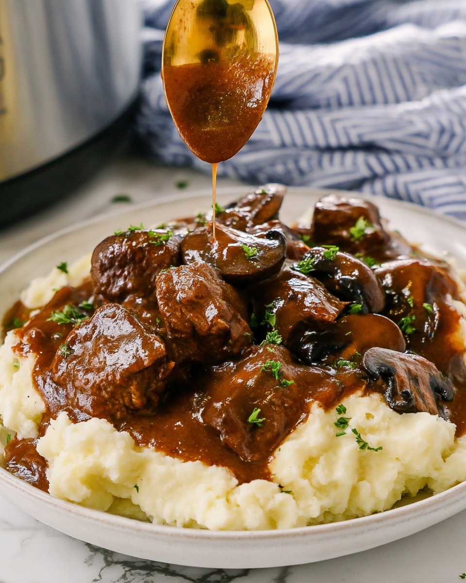 Slow Cooker Salisbury Meatballs Recipe - Recipe Image