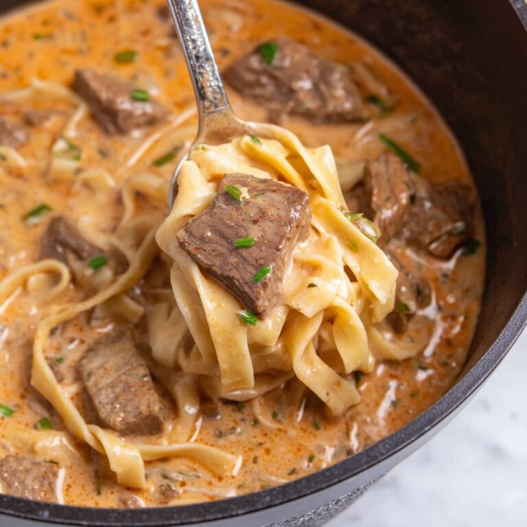 Beef Stroganoff Soup Recipe